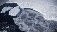 Benua ini pun merupakan benua terluas kelima setelah Eurasia, Afrika, Amerika Utara, dan Amerika Selatan.