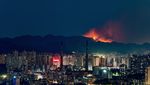 Hutan Bambu di China Terbakar Hebat, Apinya Keliatan dari Kejauhan