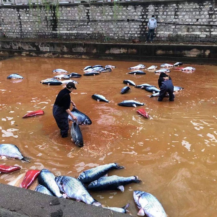 5 Potret Nut Brother, Seniman Pembangkang Asal China