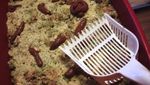 Awas Mual! 10 Dessert Bentuk Usus hingga Otak Manusia