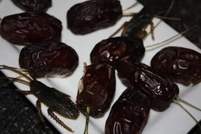 Awas Mual! 10 Dessert Bentuk Usus hingga Otak Manusia