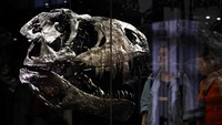 Pameran ini bertema Dinosaurs! Age of the Giant Lizards.