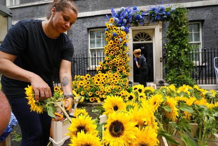 Britain Ukraine Florists prepare the entrance to 10 Downing Street with flowers in the Ukraine national colours in London, Tuesday, Aug. 23, 2022 a day ahead of the Independence Day of Ukraine. (AP Photo/Frank Augstein)
