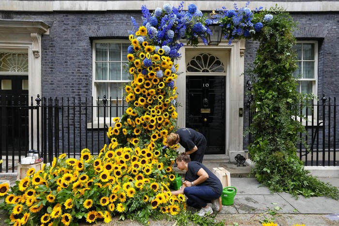 Florists prepare the entrance to 10 Downing Street with flowers in the Ukraine national colours in London, Tuesday, Aug. 23, 2022 a day ahead of the Independence Day of Ukraine. (AP Photo/Frank Augstein)