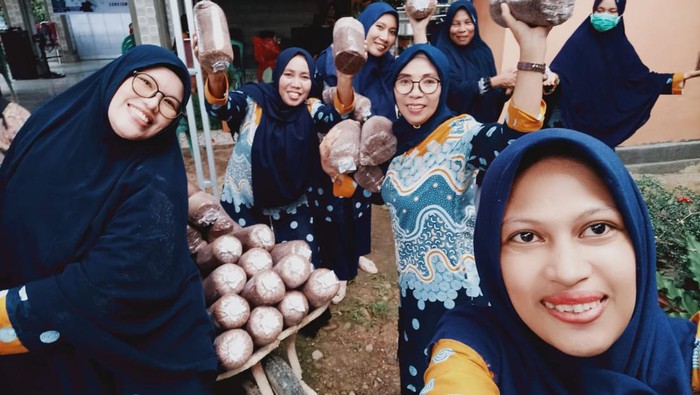 Emak-emak PKK Desa Rante Mario, Kabupaten Mamuju, Sulawesi Barat (Sulbar) meraup untung dari budidaya jamur tiram.