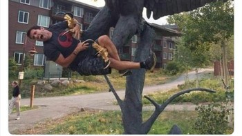 Ditangkap elang. Foto: Funnystatuee via Boredpanda