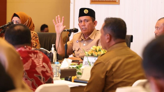 Gubernur Kepri Ansar Ahmad