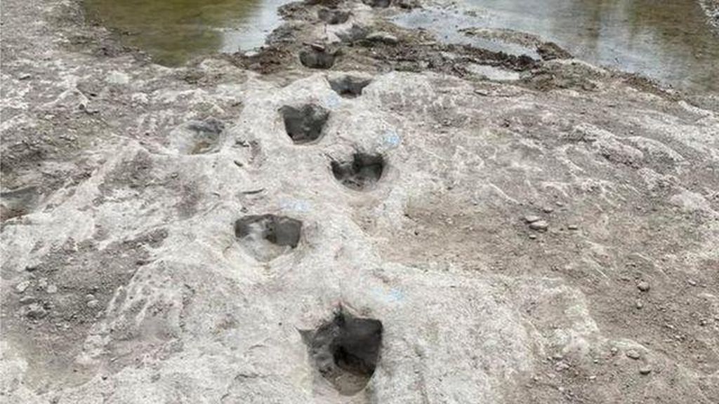 Jejak Dinosaurus 113 Juta Tahun Muncul di Sungai yang Mengering