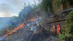 Panas Estrem di China Bikin Hutan Sichuan Terbakar Hebat