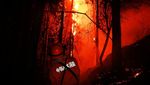 Panas Estrem di China Bikin Hutan Sichuan Terbakar Hebat
