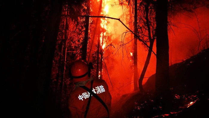 Kebakaran Hutan di Sichuan LUXIAN, CHINA - AUGUST 22: A firefighter battles to contain a forest fire on a mountain amid hot temperatures on August 22, 2022 in Luxian County, Luzhou City, Sichuan Province of China. The wildfire that broke out last Sunday afternoon has been brought under control by firefighters in Luzhou city. (Photo by VCG/VCG via Getty Images)
