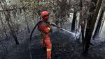 Panas Estrem di China Bikin Hutan Sichuan Terbakar Hebat