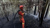 Seorang petugas pemadam kebakaran berhasil memadamkan api. Terlihat pohon-pohon yang hangus terbakar. (VCG/Getty Images)