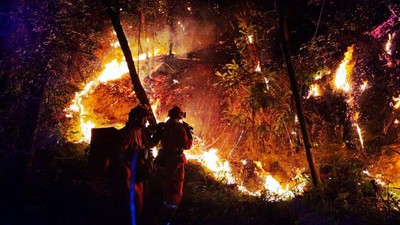 Panas Estrem di China Bikin Hutan Sichuan Terbakar Hebat