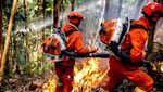 Hutan Bambu di China Terbakar Hebat, Apinya Keliatan dari Kejauhan