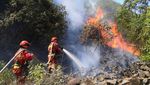 Hutan Bambu di China Terbakar Hebat, Apinya Keliatan dari Kejauhan