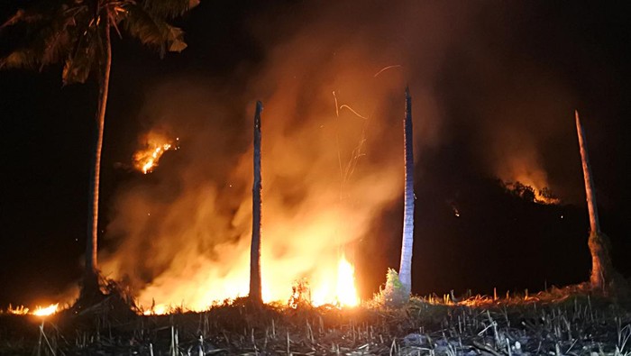 Api membakar semak dan pepohonan di hutan Perhutani Petak 44 D RPH Kendit, KRPH Panarukan, KPH Bondowoso Desa Klatakan, Kendit, Situbondo, Jawa Timur, Selasa (23/8/2022). Kebakaran hutan Perhutani tersebut belum diketahui penyebabnya dan dalam penyelidikan pihak kepolisian dan perhutani. ANTARA FOTO/Seno/hp.