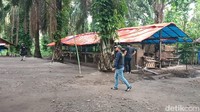 Lapak judi-narkoba yang viral dengan sebutan Sambo Sumut. Tempat ini pernah digerebek polisi lalu kembali beroperasi. (Goklas Wisely/detikSumut)