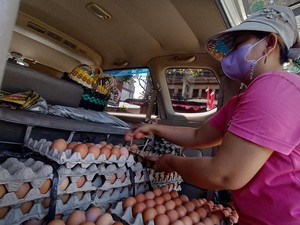Harga Telur di Tabanan Mencapai Rp 55 Ribu Per Kerat