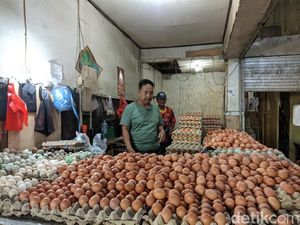 KPPU Telusuri Penyebab Harga Telur Ayam Melonjak di Sulsel