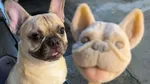 Persis Aslinya! 10 Es Krim Bentuk Anjing Poodle dan Bulldog di Taiwan