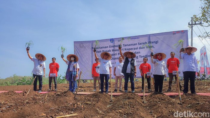 petani jahe merah ponorogo