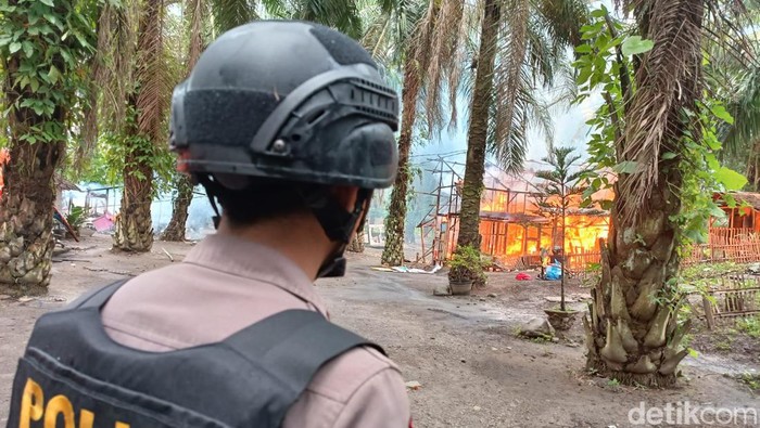 Polisi menyaksikan lapak narkoba dan judi yang viral dengan sebutan 'Sambo Sumut' dibakar Polisi menyaksikan lapak narkoba dan judi yang viral dengan sebutan 'Sambo Sumut' dirobohkan lalu dibakar. (Goklas/detikSumut)