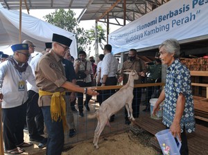 Latih Santri Jadi Entrepreneur, Sandiaga Beri Bantuan Bibit Kambing