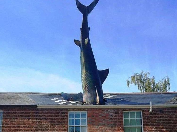 Menurutmu, 5 Foto Ini Karya Seni atau Bukan?