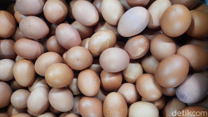 Ilustrasi telur ayam broiler di Surabaya