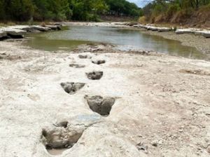 Video Tapak Kaki Dinosaurus Muncul Lagi di Sungai yang Mengering