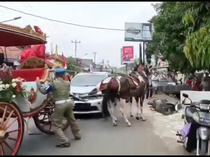 Kuda penarik kereta kencana yang ditumpangi Bupati Pekalongan Fadia Arafiq menabrak mobil dalam kirab 4 abad Kabupaten Pekalongan, Kamis (25/8/2022).