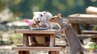 Berbagai makanan favorit tupai dan bajing tersedia di sini, termasuk biji bunga matahari. Flagg tak lupa mengabadikan momen jika ada tamu istimewa mampir ke kafenya.