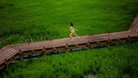 Dari daratan Malaysia ada aerial sawah padi di Shah Alam. Petani disini menyediakan skywalk untuk para pengunjung menikmati suasana. Foto ini diambil pada 6 Agustus 2016.