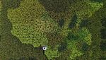 Mengagumi Indahnya Lahan Padi dari Kacamata Drone