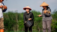 Puan Maharani mencoba langsung menanam batang singkong varietas sekoci bersama para petani.