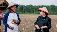 Puan juga sempat berbincang dengan salah satu petani bernama Adrima yang berharap jalan akses di kebunnya bisa diberi nama Puan Maharani.
