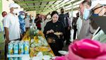 Momen Puan Berbincang dengan Petani dan Pelaku UMKM di Lampung