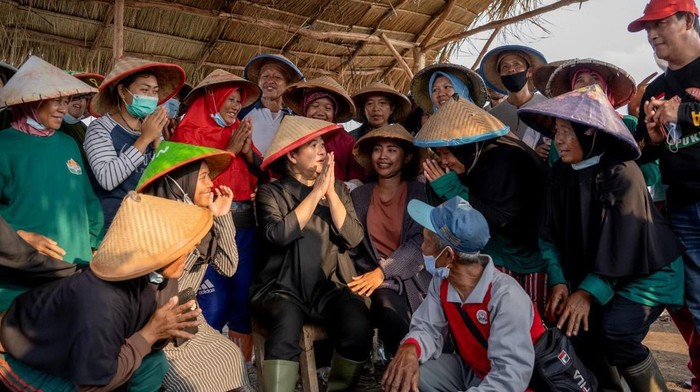 Momen Puan Berbincang dengan Petani dan Pelaku UMKM di Lampung Ketua DPR Puan Maharani berbincang dengan sejumlah petani dan pelaku UMKM saat Kunjungan Kerja di Tulang Bawang dan Lampung Tengah, Lampung.