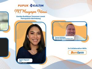 Tips Cerdas Budidaya Tanaman Minim Modal Tanpa Khawatir Gagal Panen