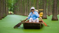 Pada musim semi, para wisatawan dapat menikmati hutan sambil menaiki perahu, Rabu (24/8/2022).