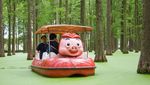 Fotojenik, Naik Sampan di Danau yang Menyatu dengan Hutan di China