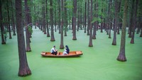 The Luyang Lake Wetlands Park memiliki medan datar, pepohonan rimbun, udara segar, dan gaya kota air yang kaya.