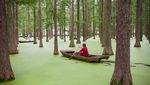 Fotojenik, Naik Sampan di Danau yang Menyatu dengan Hutan di China