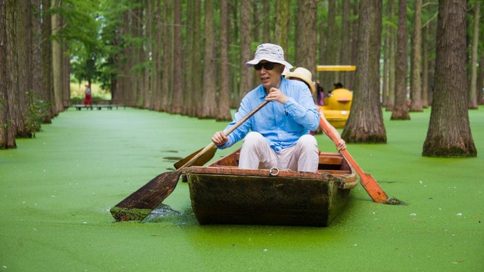 China memiliki destinasi wisata di hutan Metasequoia di kawasan Danau Luyang, Yangzhou, China. Yuk, intip keseruannya.
