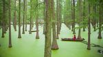 Serunya Bersampan Ria di Danau Hijau China