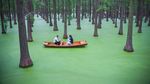 Serunya Bersampan Ria di Danau Hijau China