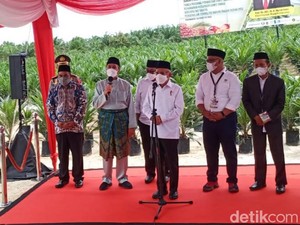Pemerintah Akan Bangun 5 Pabrik Minyak Makan Merah di Riau