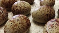 Ini hanyalah cokelat yang dibentuk seperti telur puyuh. Kulit telur pun dibuat sangat mirip. Hati-hati tertukar ya… Foto: Instagram @theediblemuseum