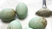Cokelat kali ini dibentuk seperti telur asin. Telur pun diwarnai dengan warna hijau ciri khas telur asin. Keren ya! Foto: Instagram @theediblemuseum